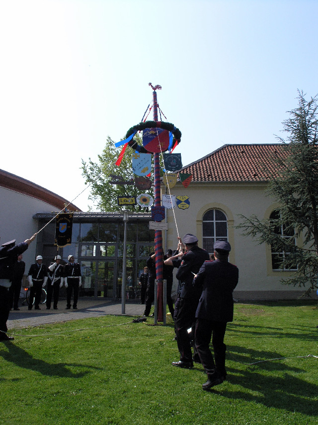 Maibaum09_03.jpg