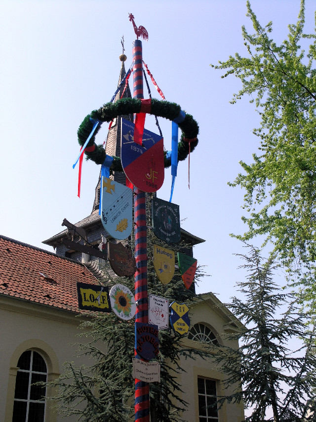 Maibaum09_07.jpg