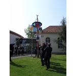 Maibaum09_03.jpg