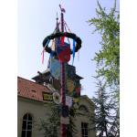 Maibaum09_07.jpg