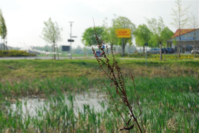 2010-04-30_31.JPG